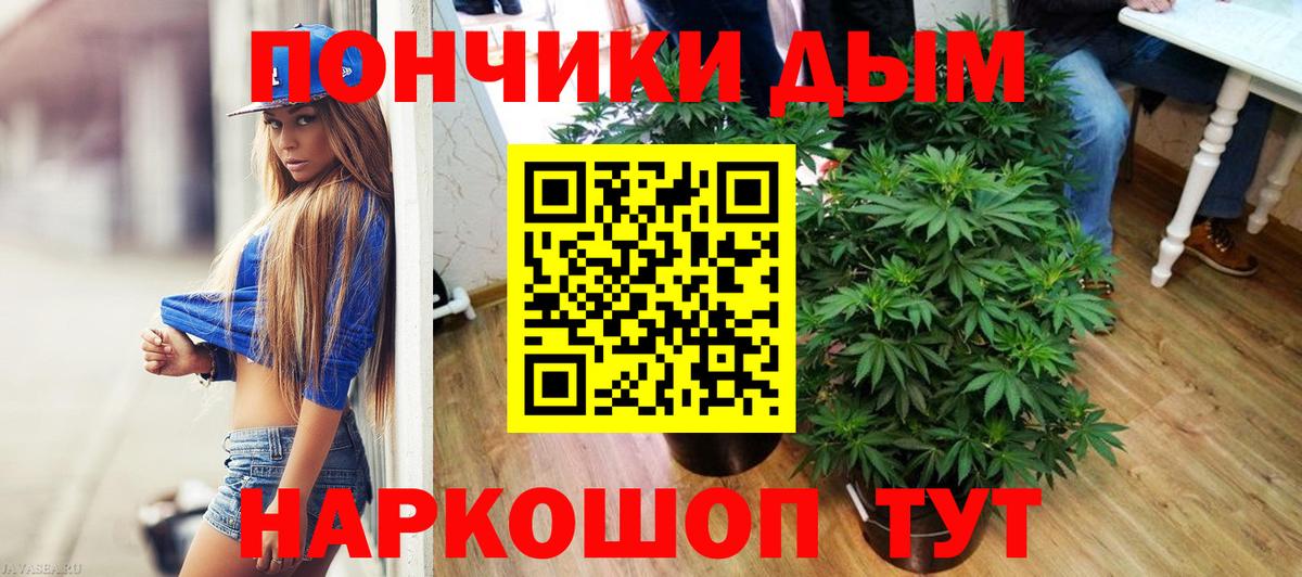 Бошки Шишки Amnesia Шадринск